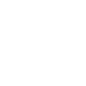 the guy